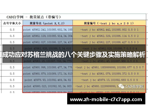 成功应对苏格兰挑战的八个关键步骤及实施策略解析