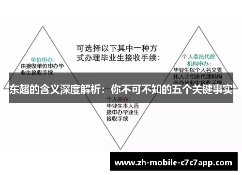 东超的含义深度解析:你不可不知的五个关键事实 东超的含义深度解析:你不可不知的五个关键事实