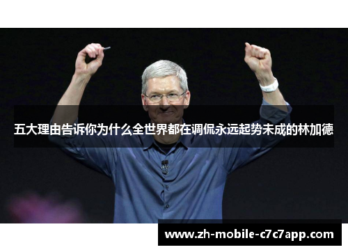 五大理由告诉你为什么全世界都在调侃永远起势未成的林加德 五大理由告诉你为什么全世界都在调侃永远起势未成的林加德