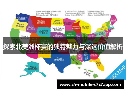 探索北美洲杯赛的独特魅力与深远价值解析