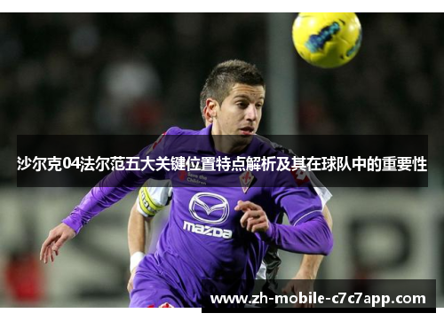 沙尔克04法尔范五大关键位置特点解析及其在球队中的重要性 沙尔克04法尔范五大关键位置特点解析及其在球队中的重要性
