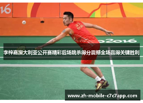 李梓嘉澳大利亚公开赛精彩后场跳杀得分震撼全场赢得关键胜利