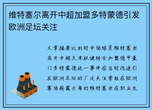 维特塞尔离开中超加盟多特蒙德引发欧洲足坛关注